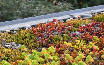 the cost of Edingale green roof installation