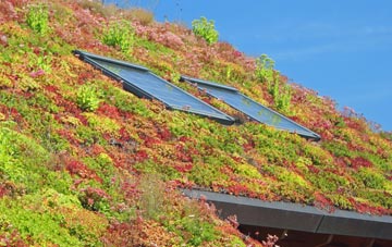 Edingale living roof systems